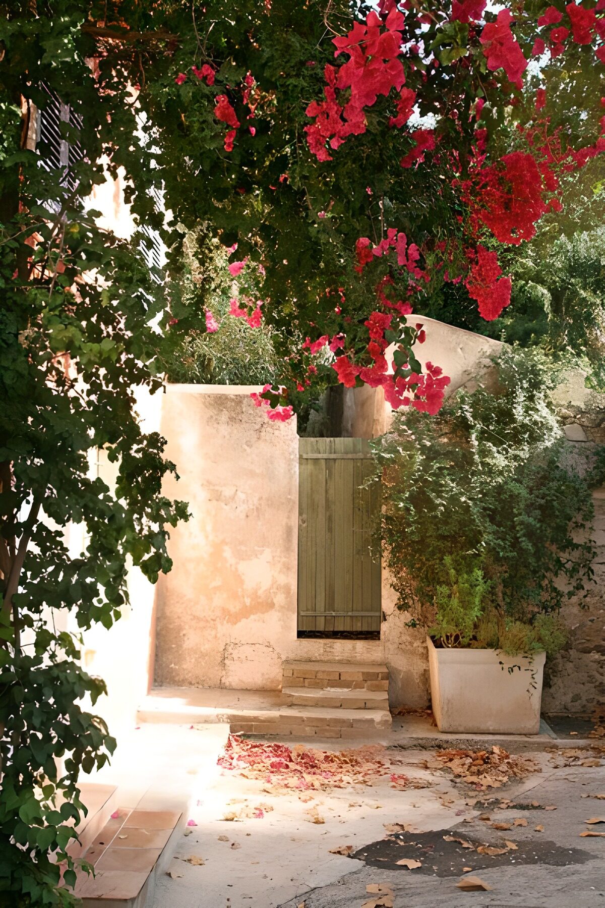 OCUK17549: Wooden door with wall, flowers 2