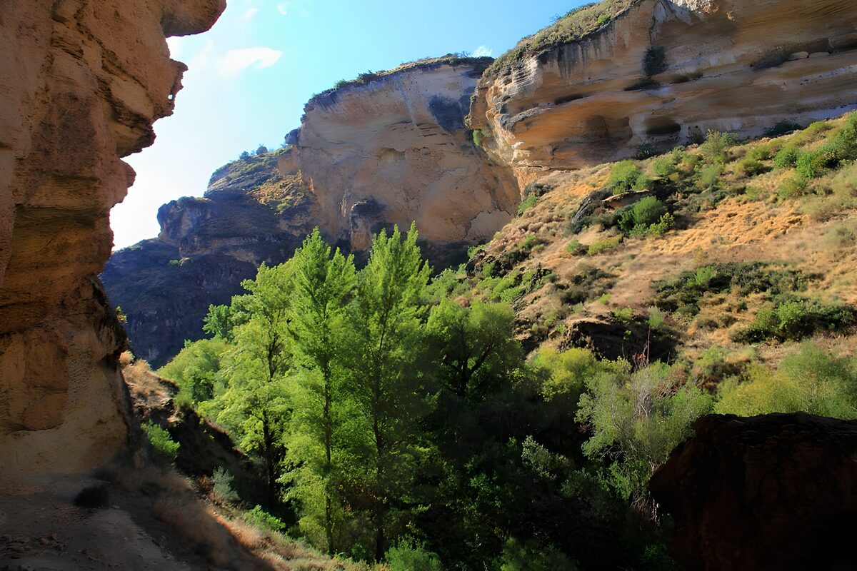 Serene Canyon Vista
