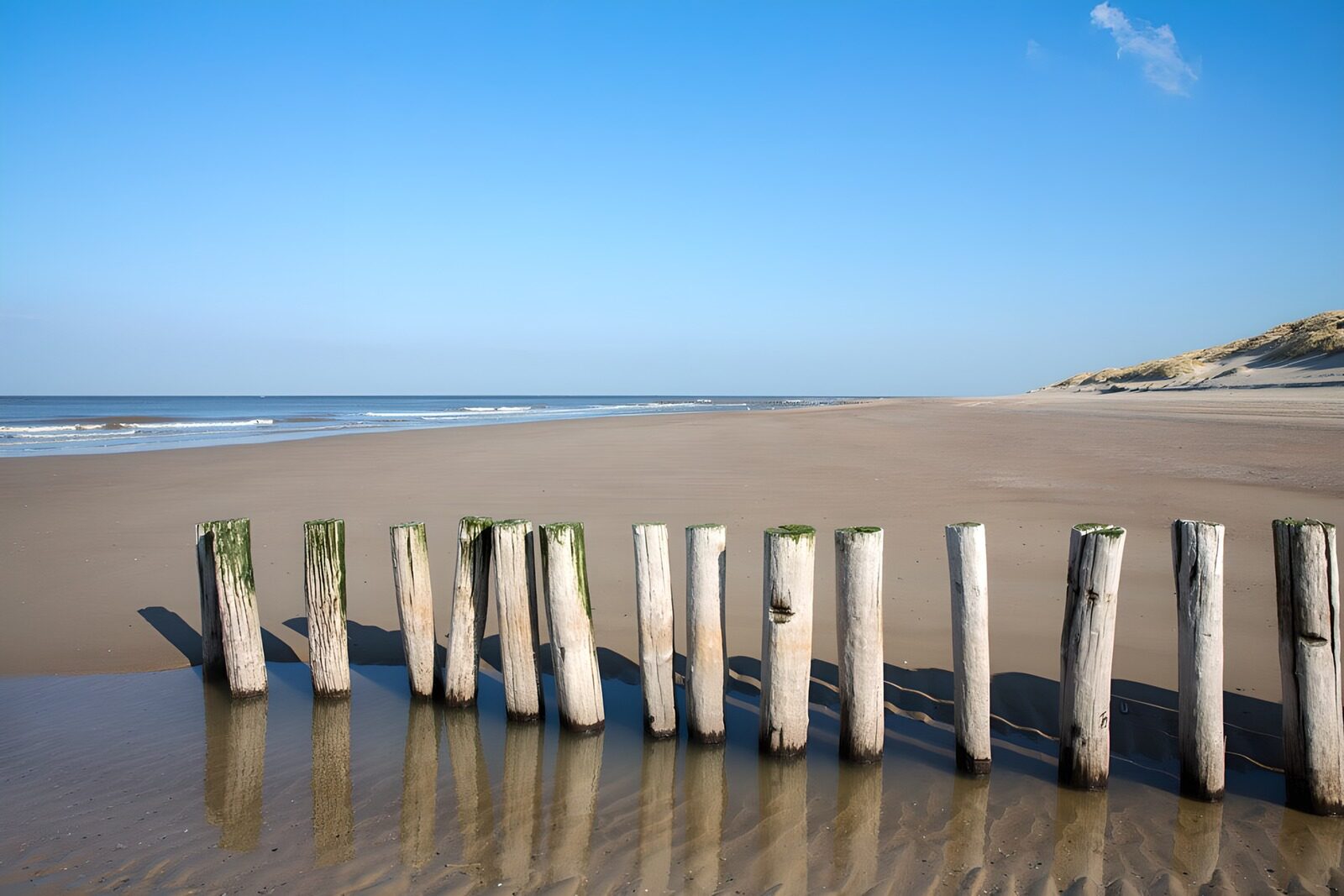 OCUK13342: Row of beach poles in