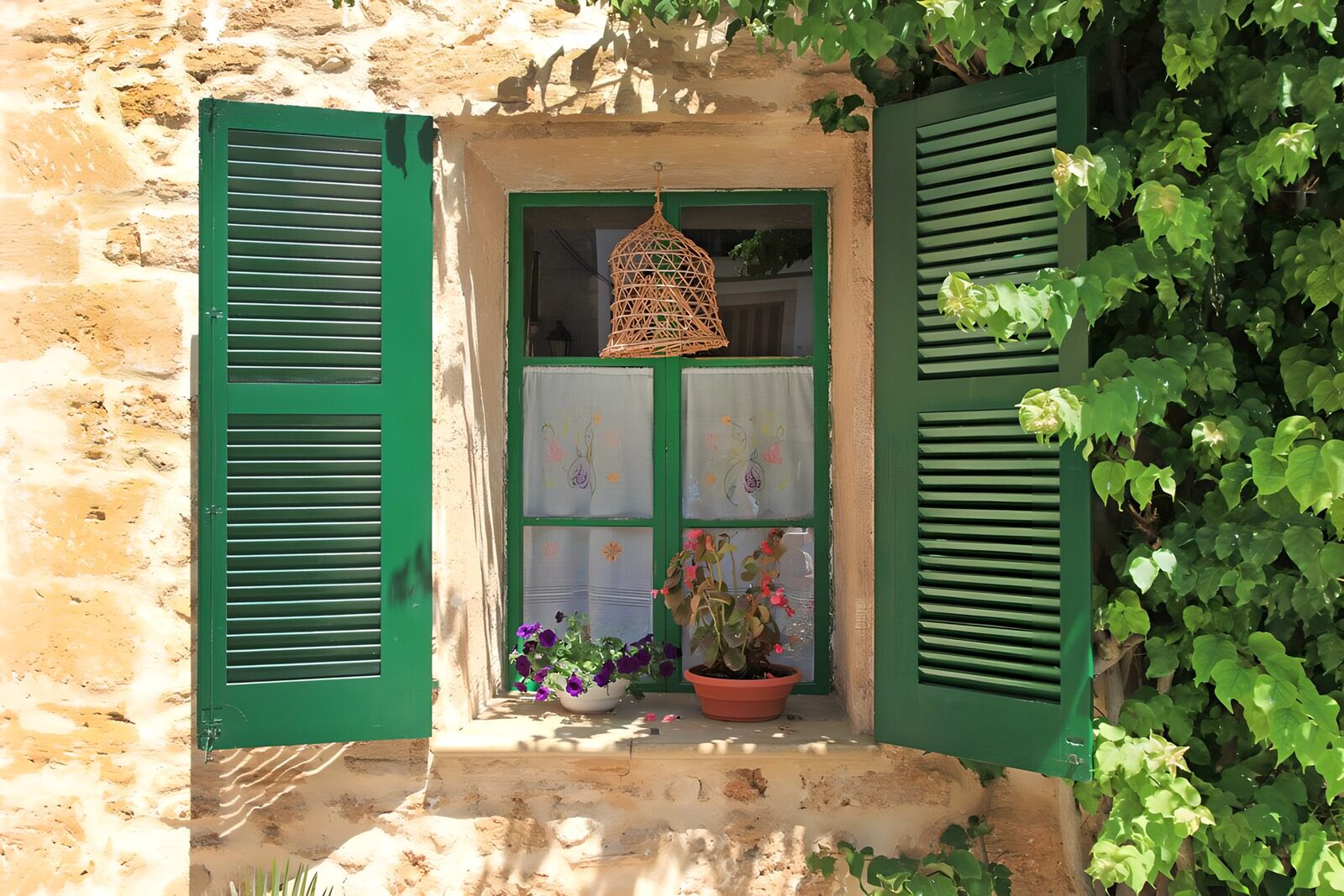 OCUK62505: Window with green shutters overgrown with ivy