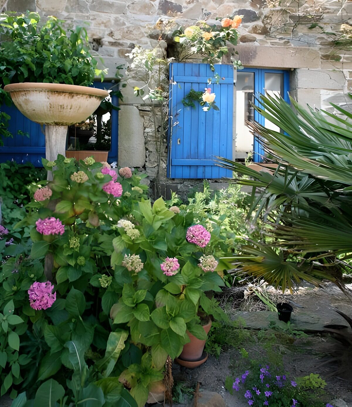 Old French wall with blue shutters , variety of flowers and plants version 2