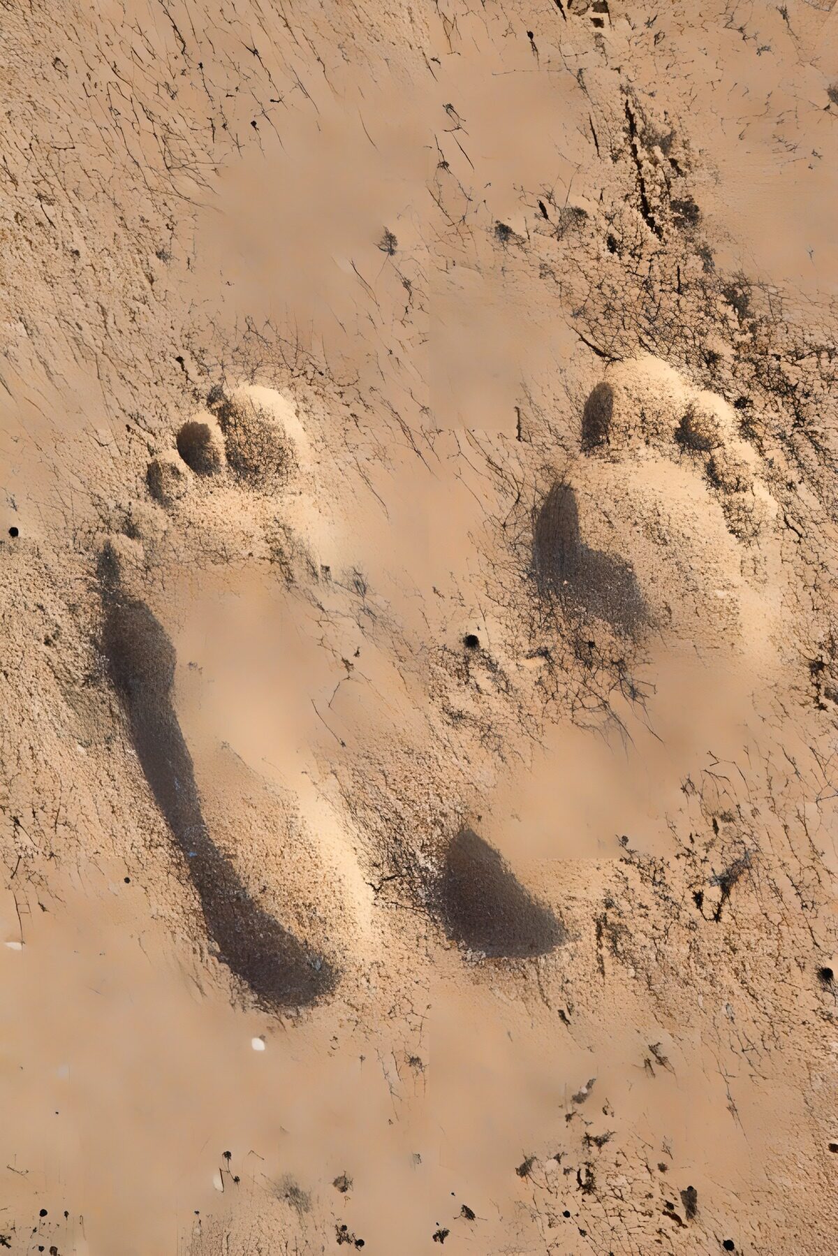 OCUK93676: Footprints in the Sand