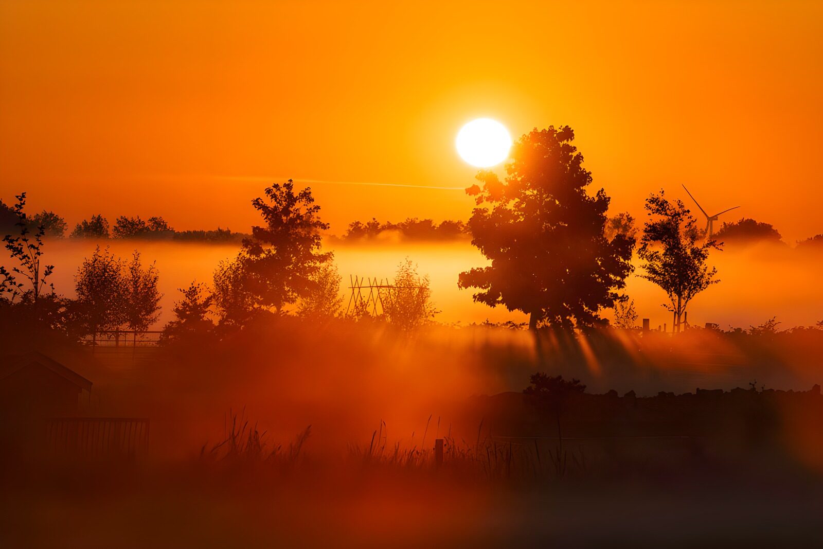 OCUK57159: Golden Sunrise Over Misty Landscape