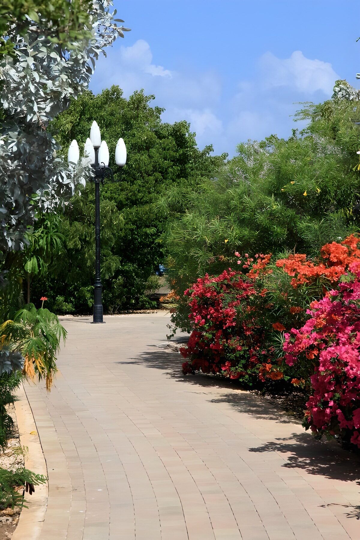 OCUK22712: Vibrant Garden Pathway