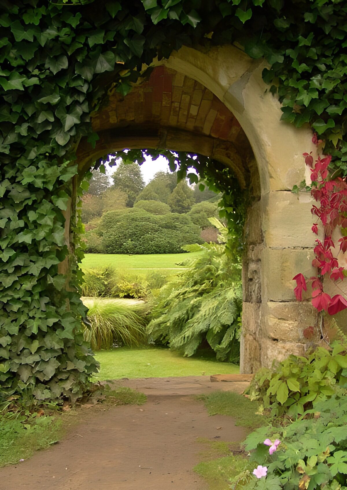 OCUK35522: Path with entrance to garden and Ivy