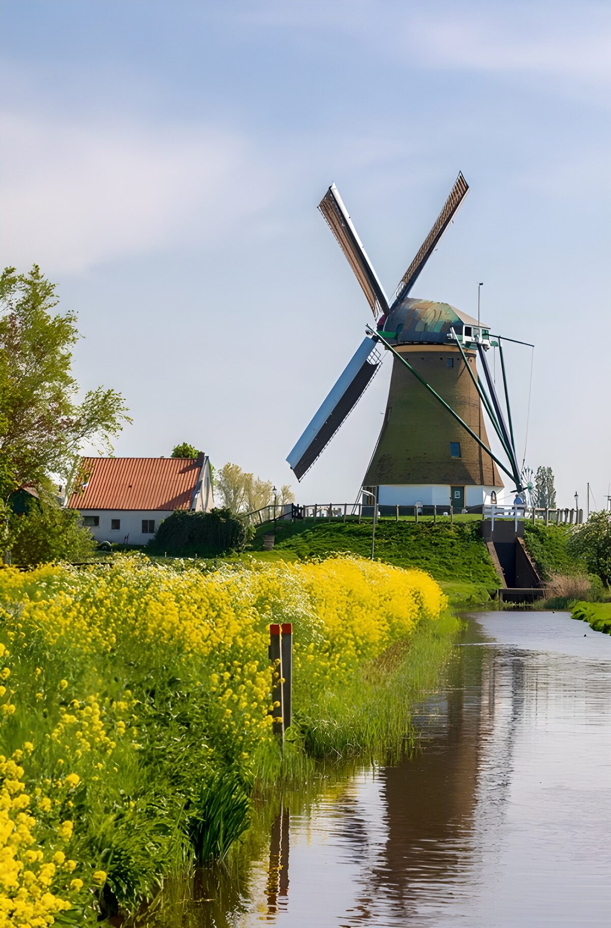 OCUK49000: Charming Dutch Windmill by the River