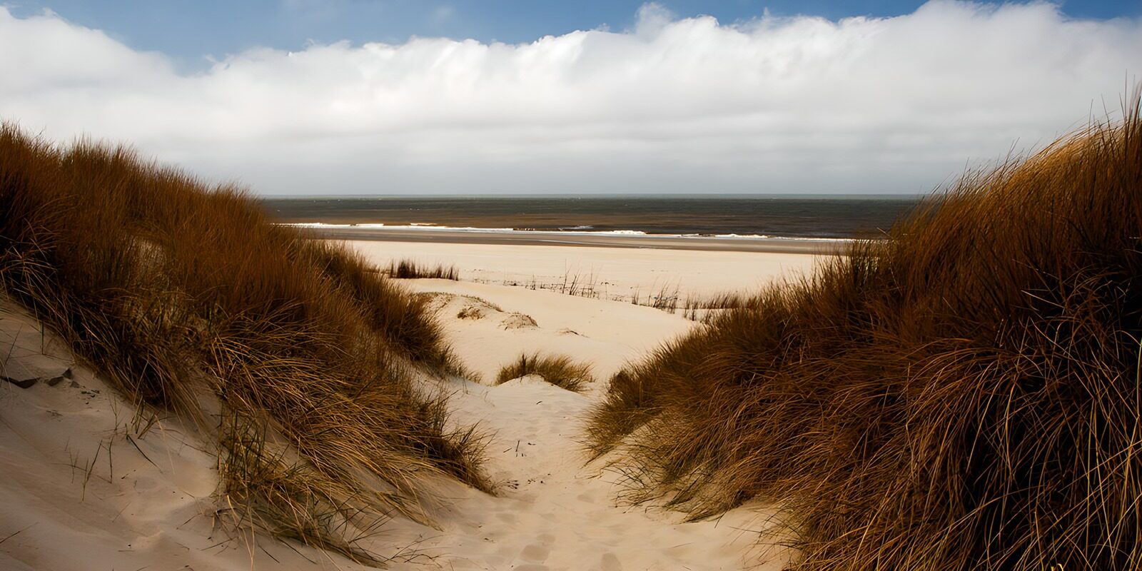 OCUK70847: Serenity at the Dune's Edge
