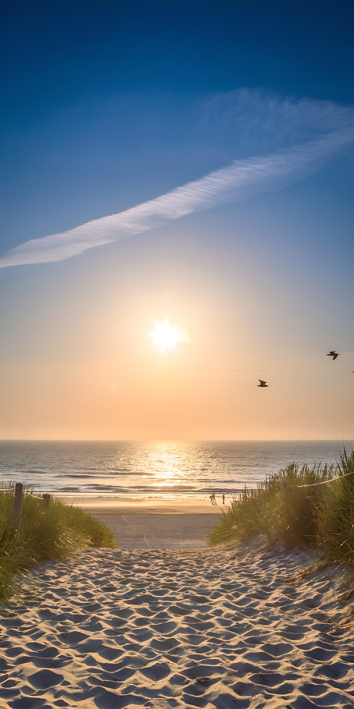 OCUK14617: Serenity at the Shoreline