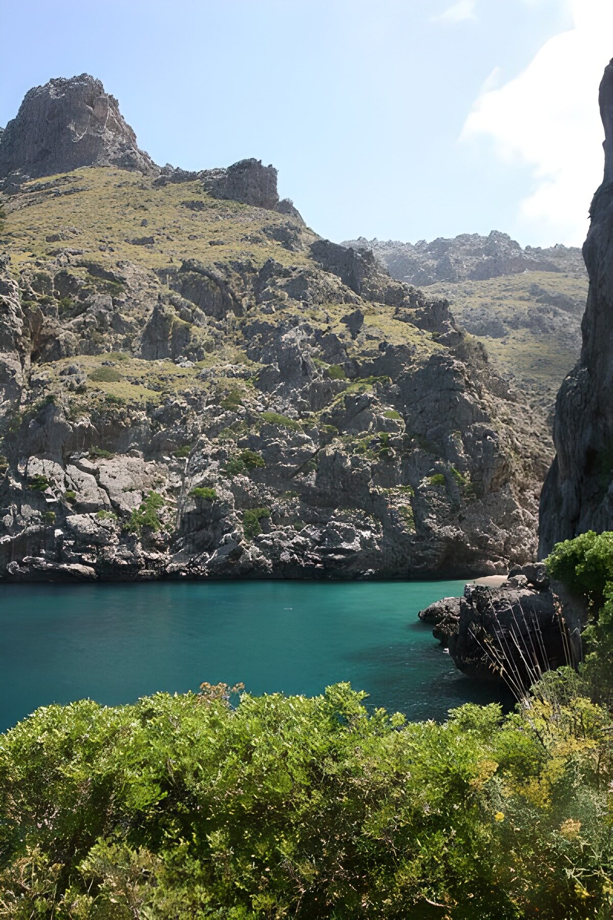 OCUK88544: Cliff along the river's edge, forest 1