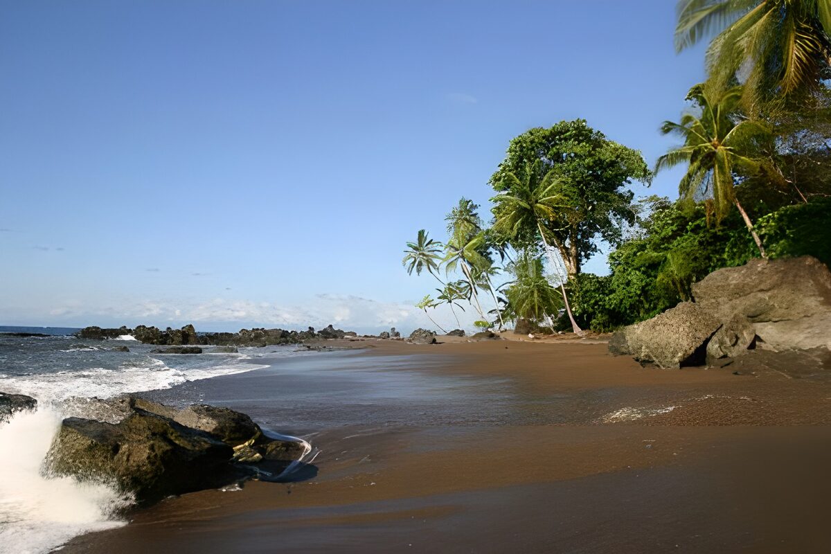 OCUK36483: Palm trees, beach on Costa Rico version 2