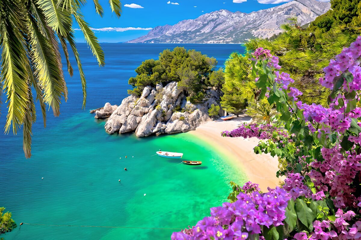 OCUK54954: Serene Cove with Vibrant Shoreline