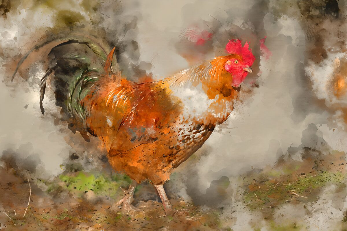 Vibrant Rooster in Watercolor Style
