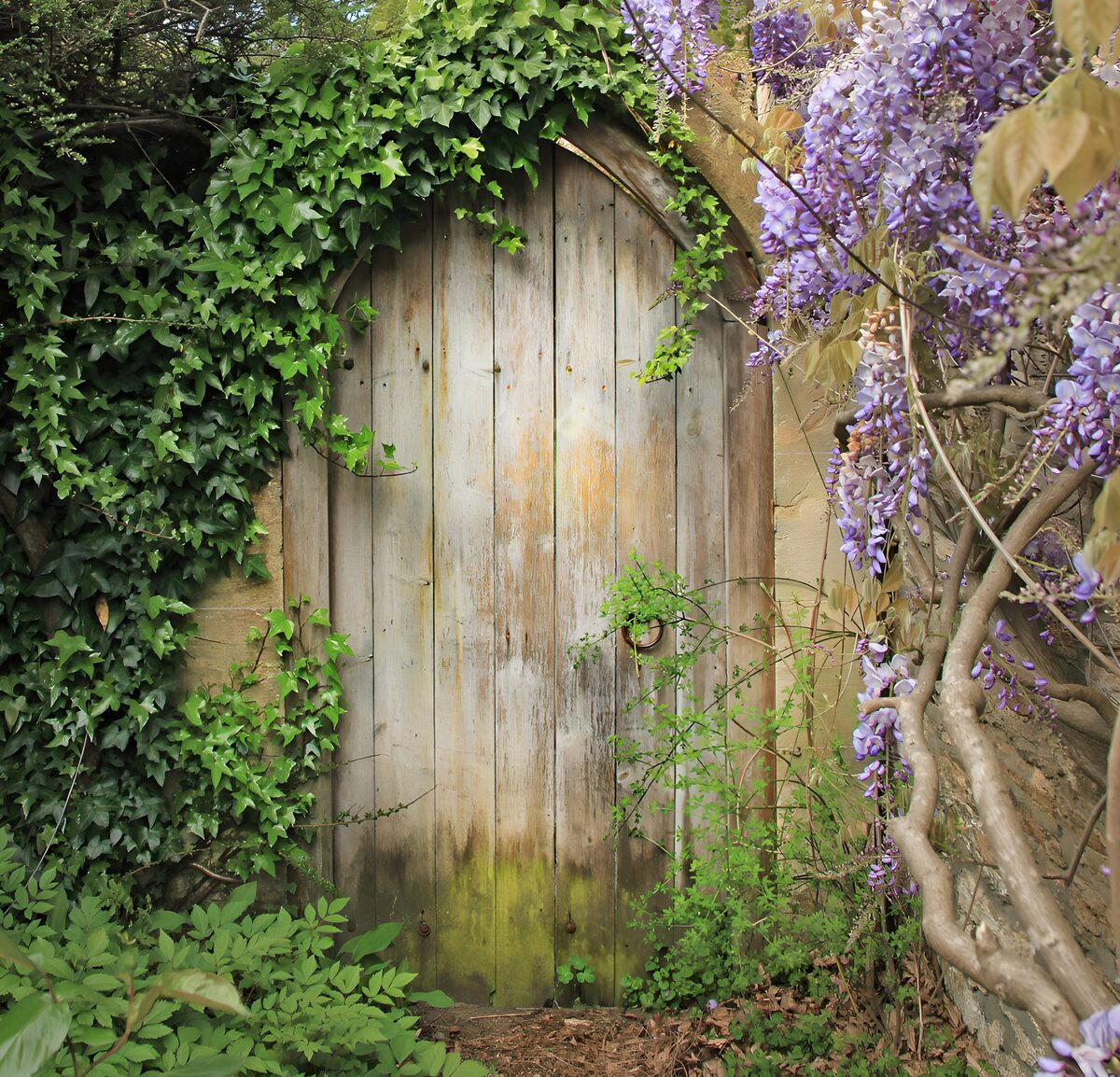 OCUK51936: Enchanted Garden Gate