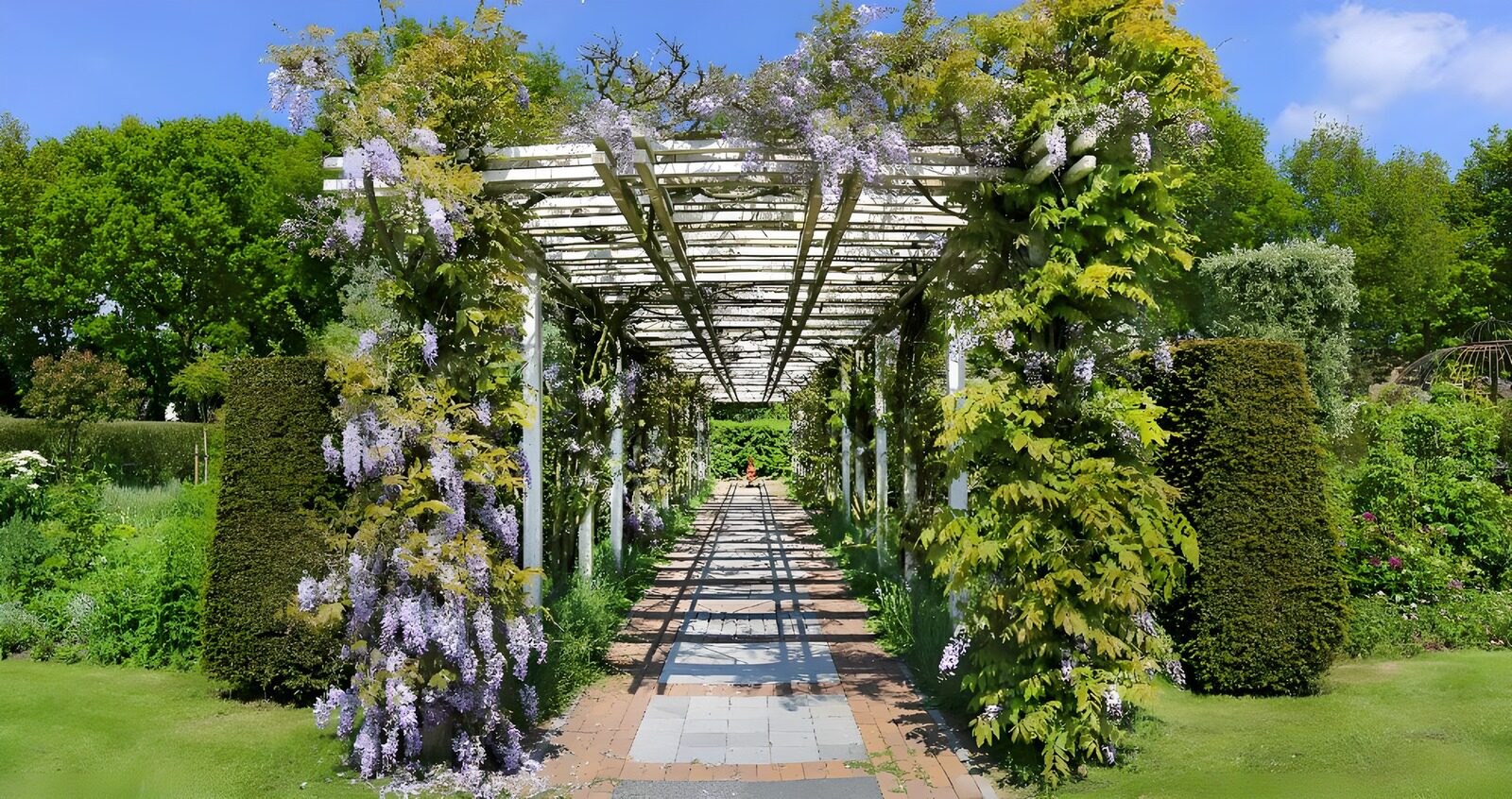 OCUK54293: Pergola with blue rain