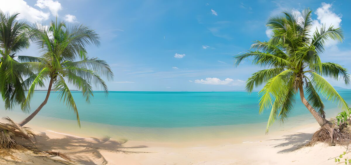 OCUK90505: Serenity by the Tropical Shore