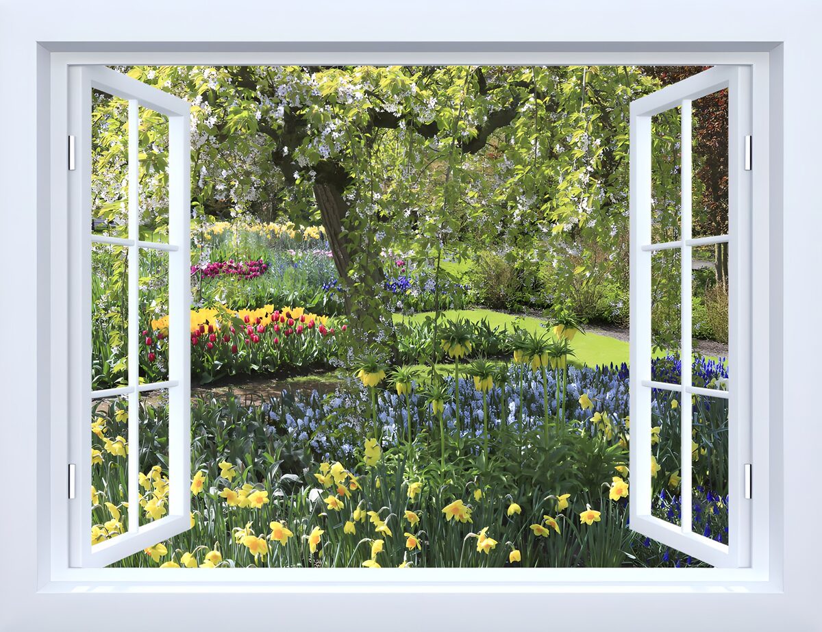 Vibrant Garden View Through The Window
