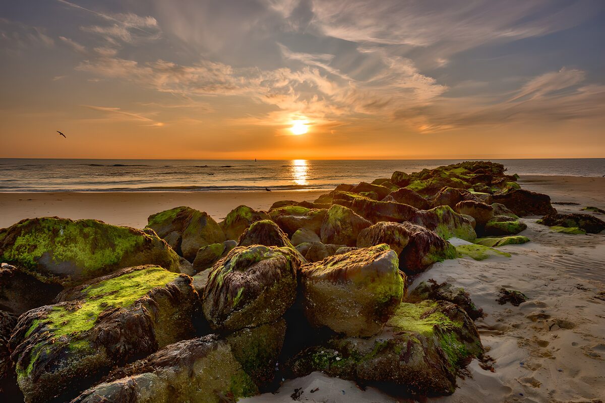 Serene Sunset Over Rocky Shoreline