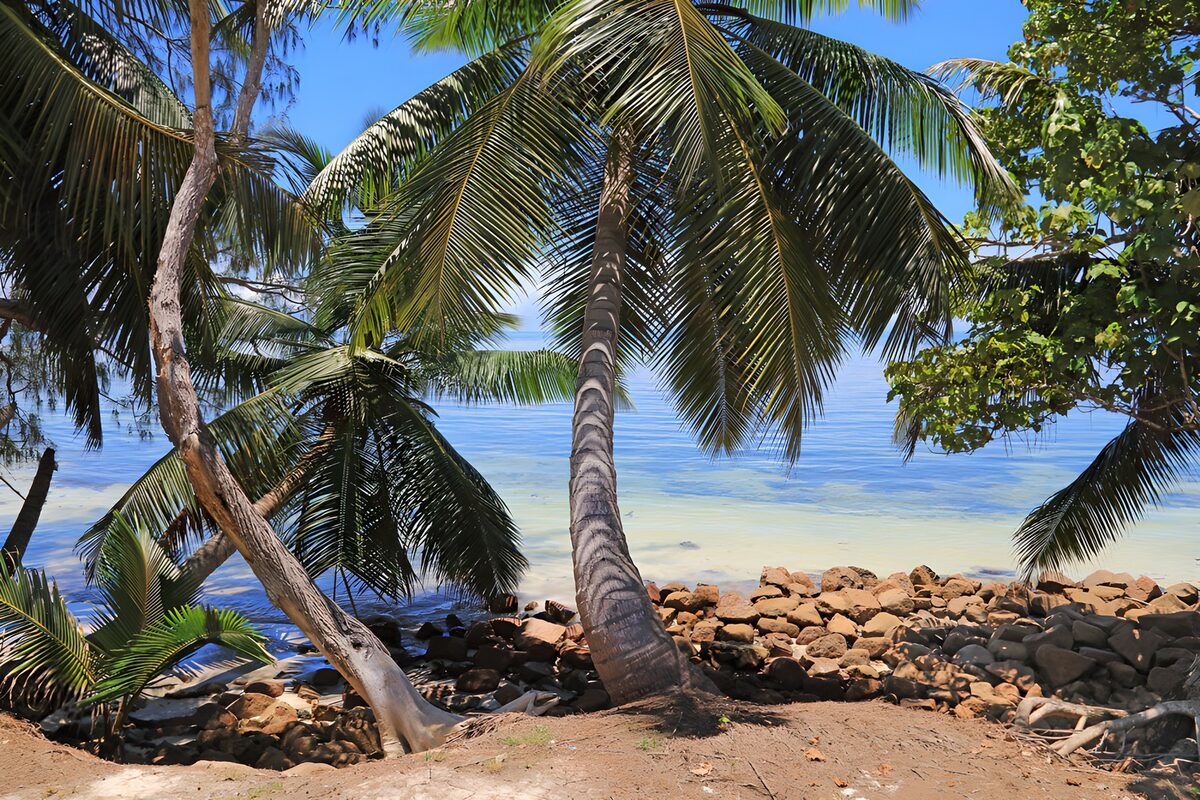 OCUK44958: Tropical Paradise by the Shore