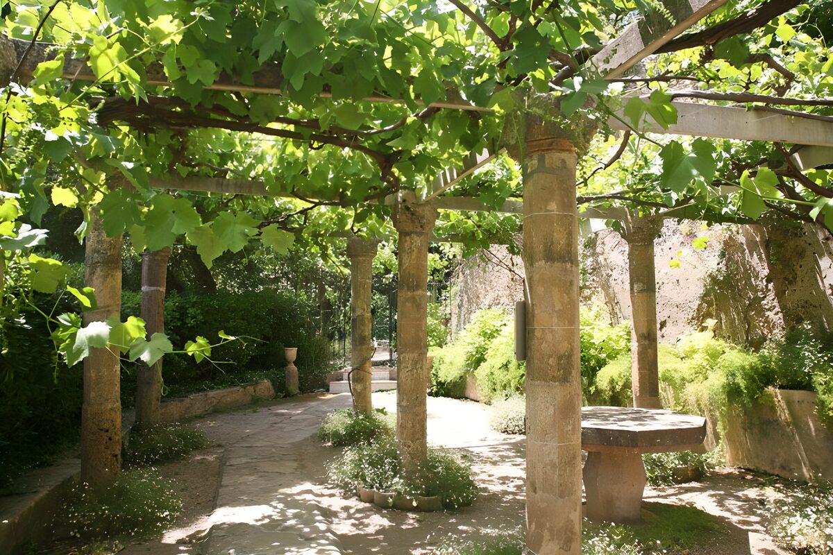 OCUK49697: Old covered terasse with vine leaves version 1