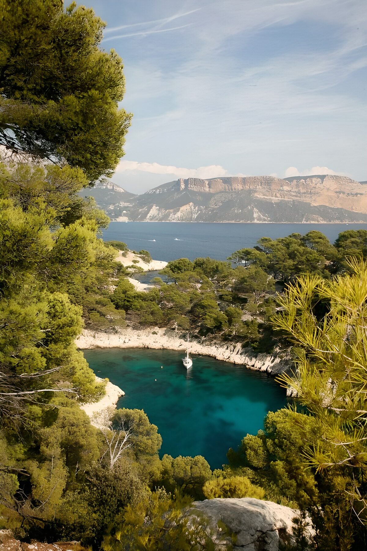 OCUK60951: Serene Cove Surrounded by Nature