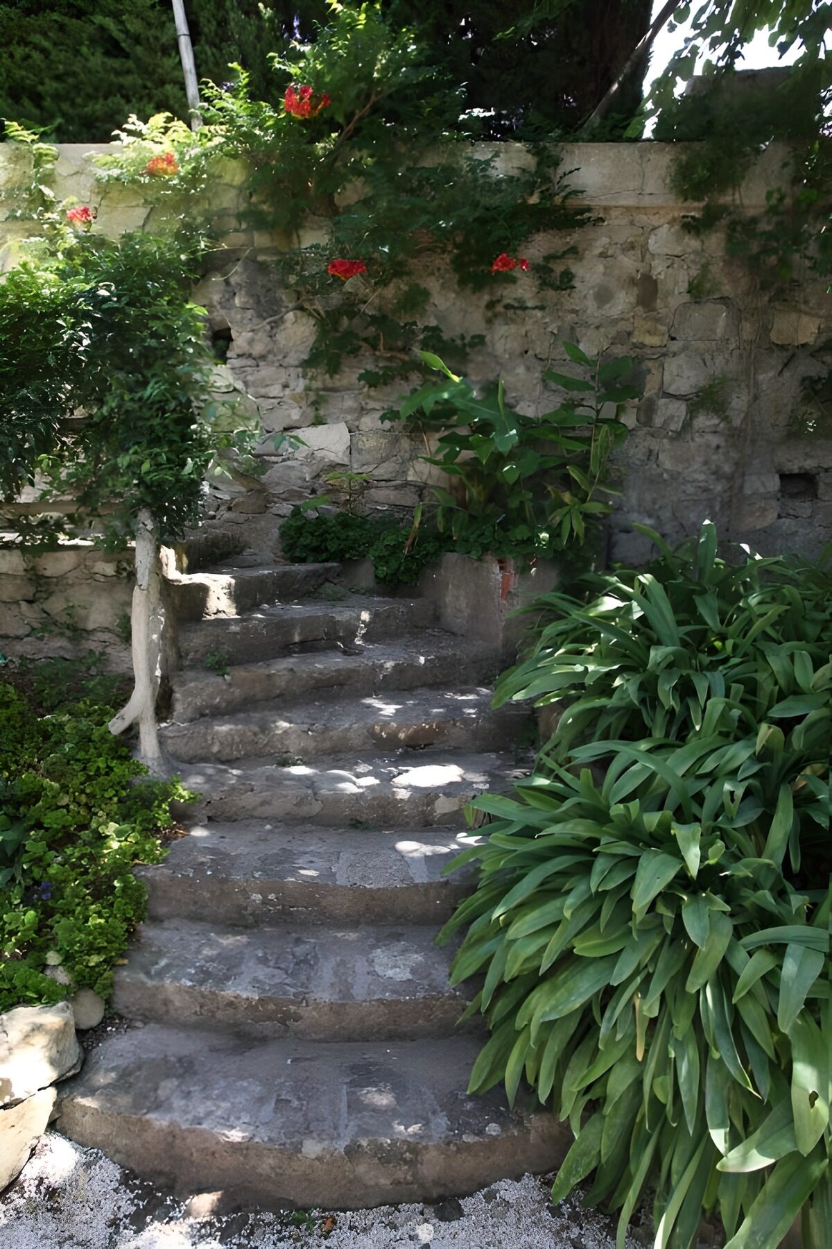 OCUK23976: Serene Garden Stairway