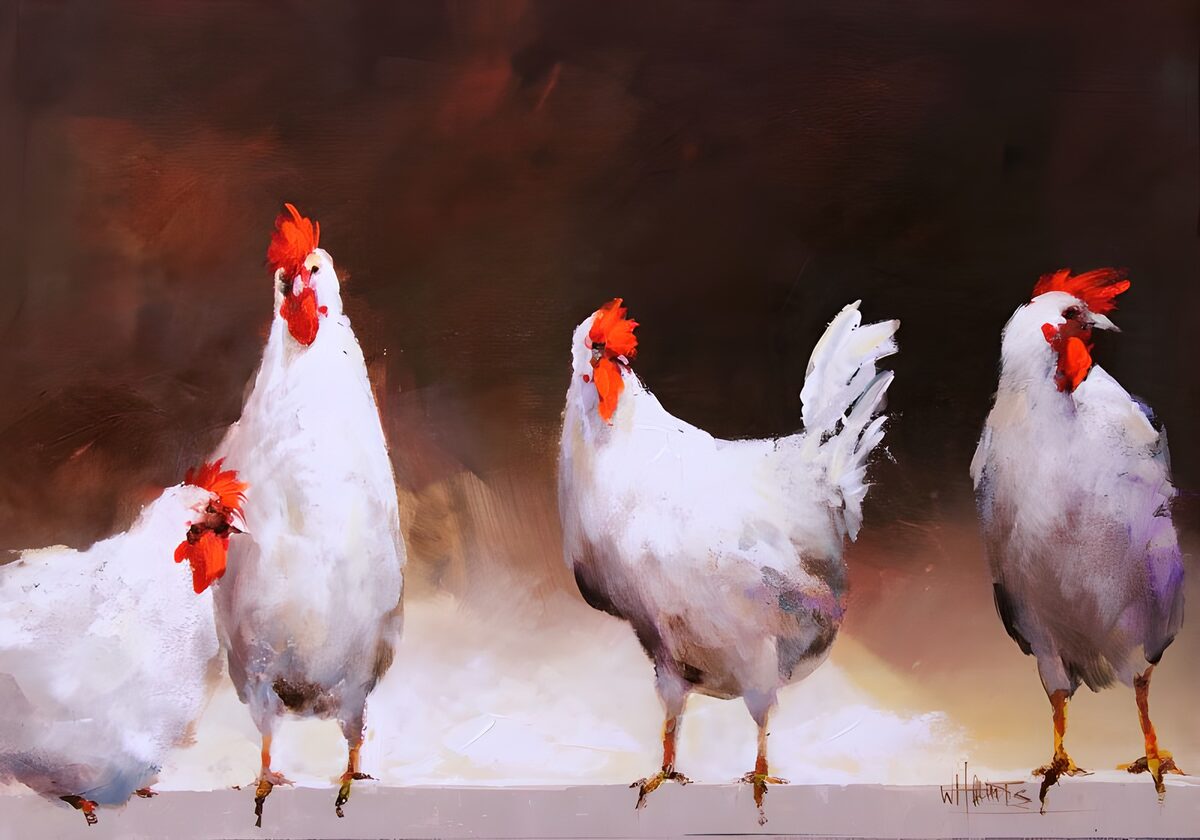 OCUK91622: Four chickens
