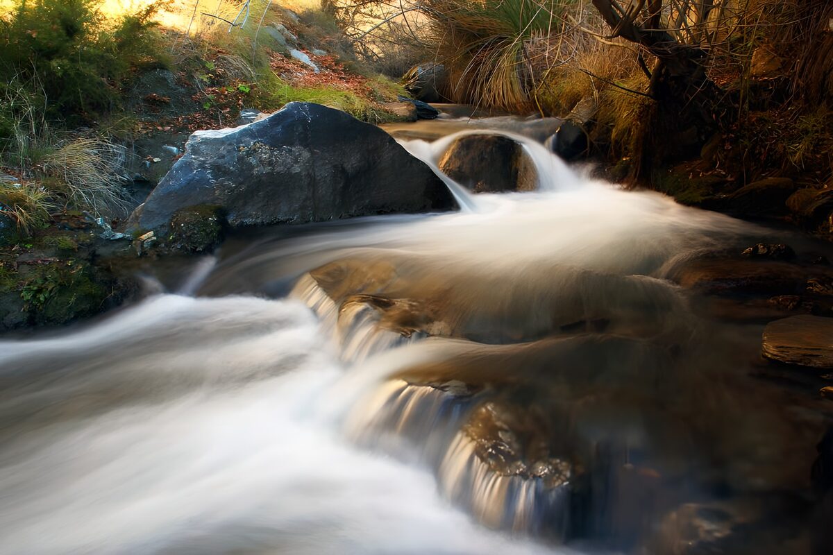 OCUK24430: Tranquil Stream Flowing Over Rocks