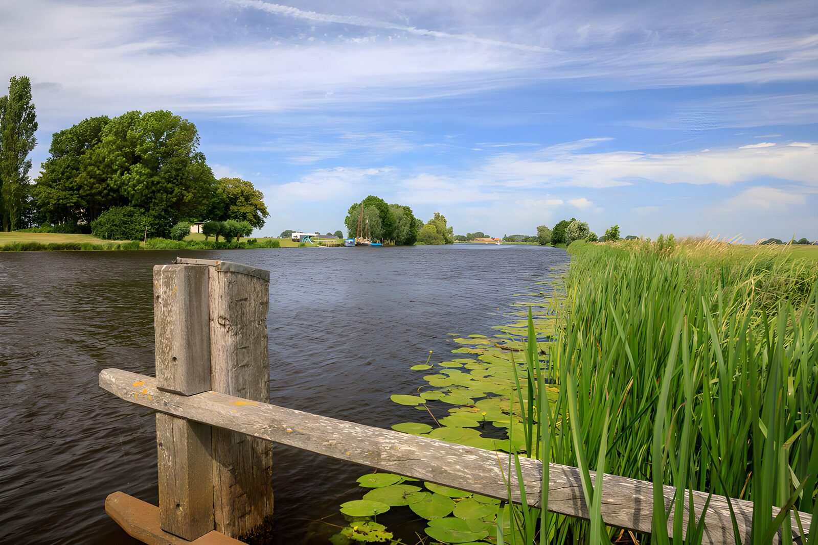 OCUK29970: Tranquil River Landscape with Vegetation