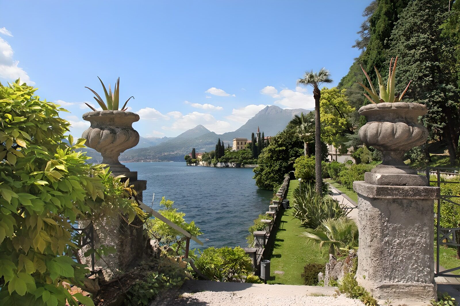 OCUK71553: Scenic Lakeside View with Lush Foliage