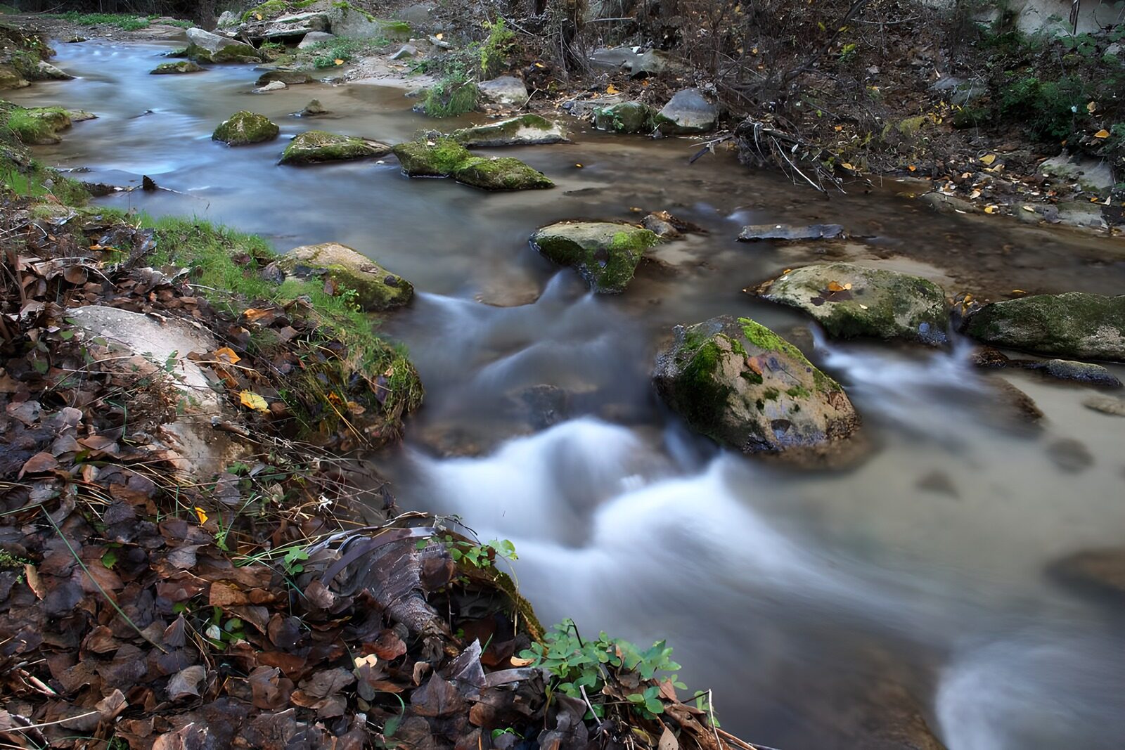 OCUK85704: Tranquil Stream in Autumn