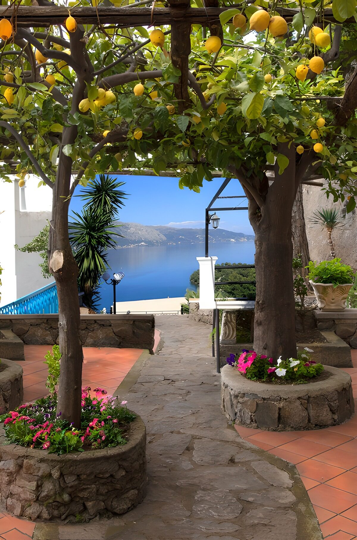 OCUK96149: Serene Coastal Garden Oasis