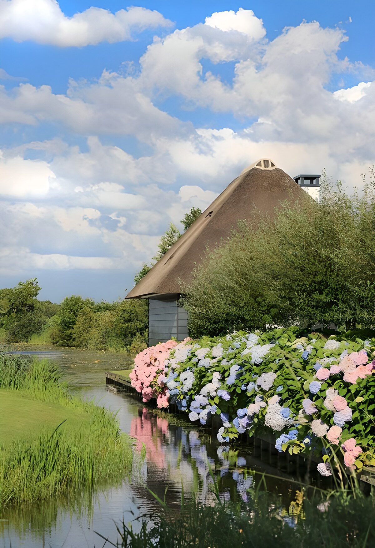 OCUK61325: Hortensia at the "Loosdrechtse" waters