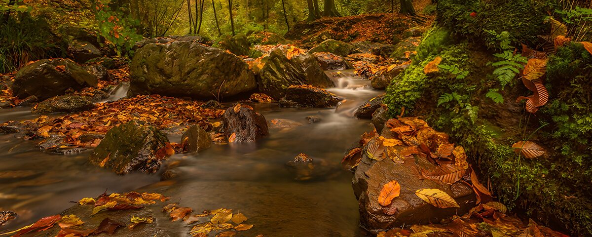 OCUK37259: Tranquil Autumn Stream