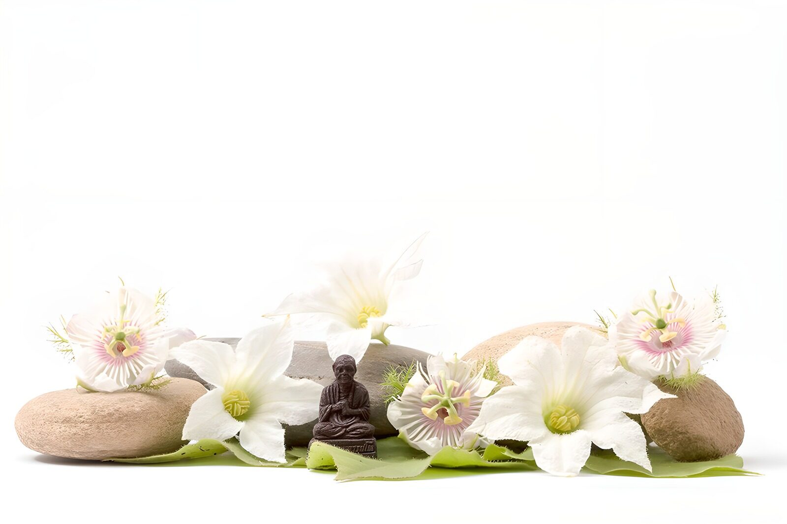 OCUK34351: Serenity in Nature's Embrace