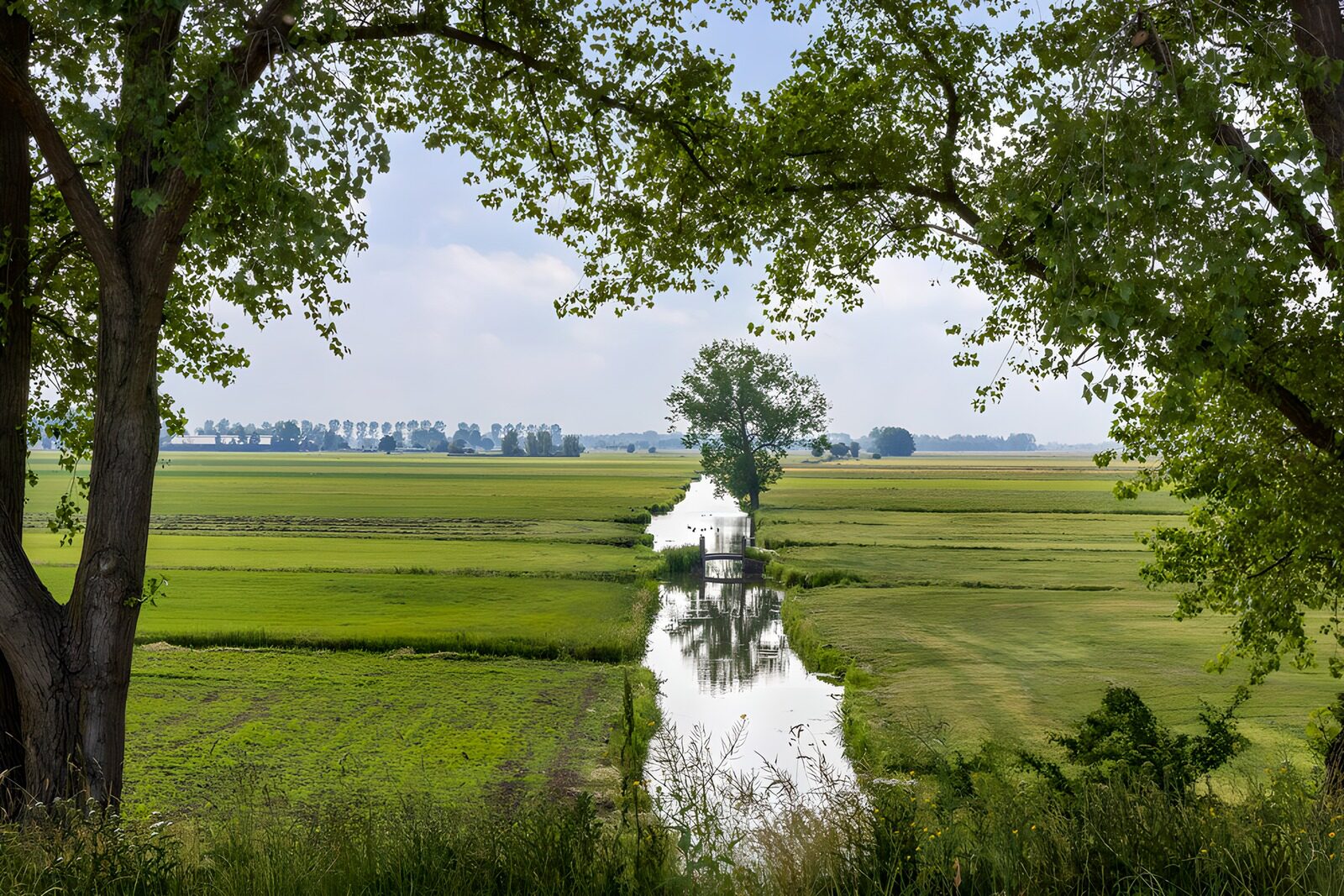 OCUK98108: Serene Green Landscape with Waterway