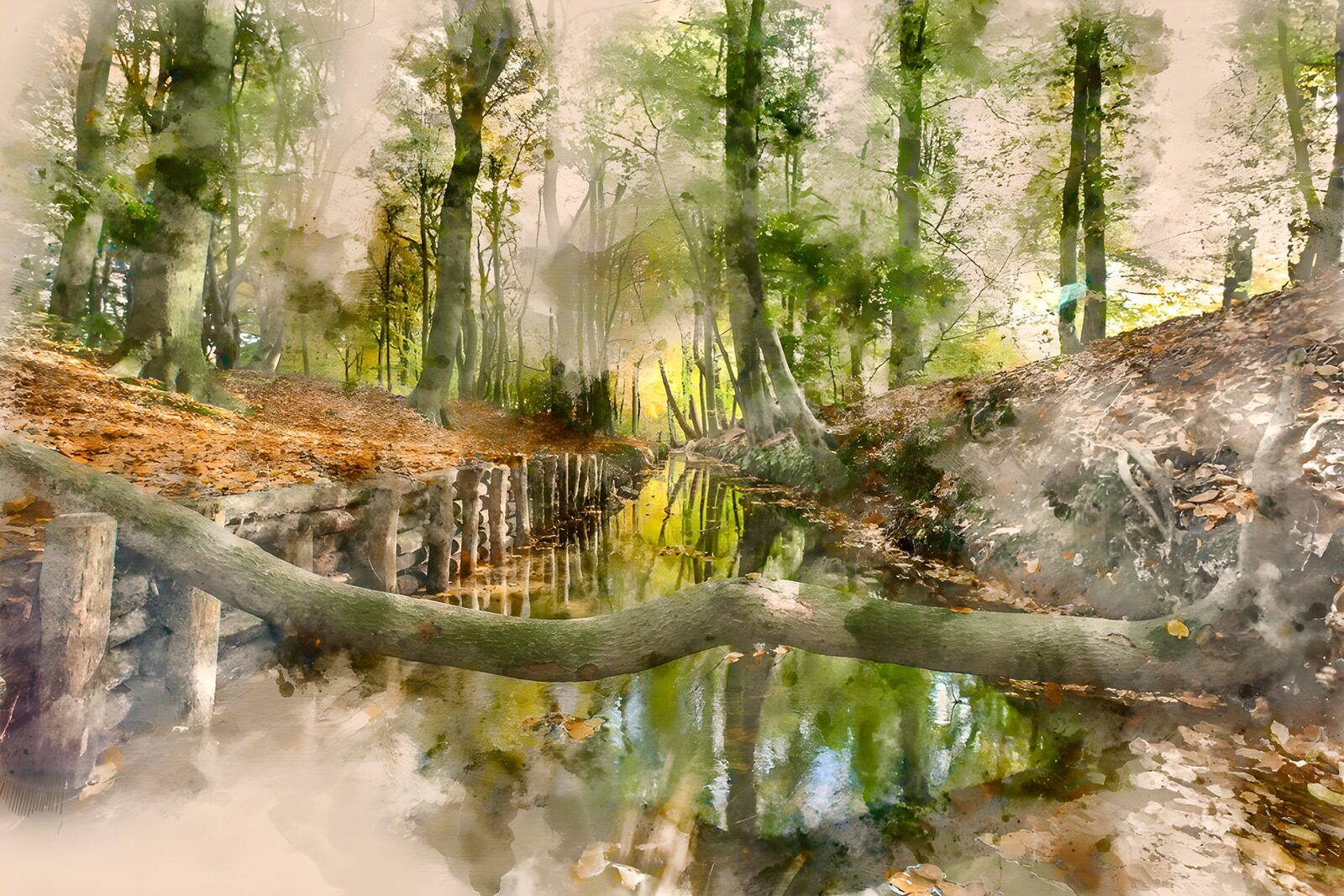 OCUK39509: Serene Forest Stream