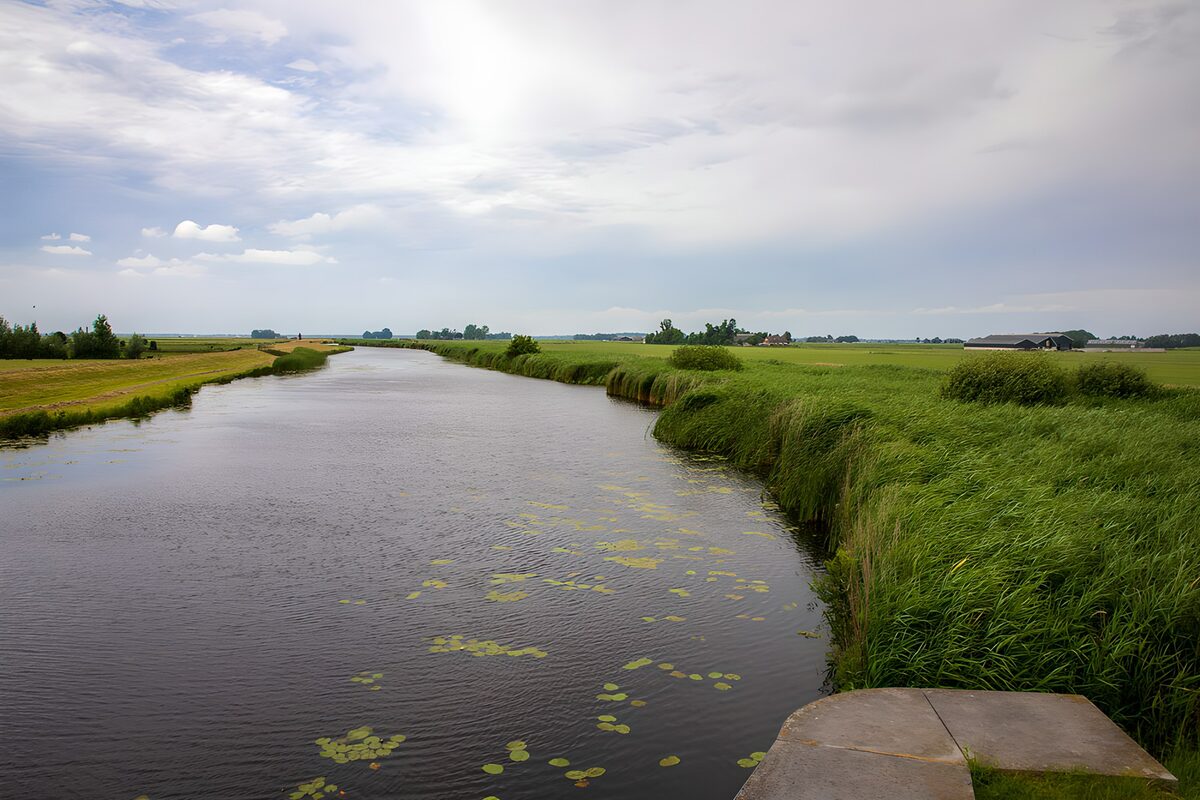 OCUK85808: Serene Riverbend in a Rural Landscape