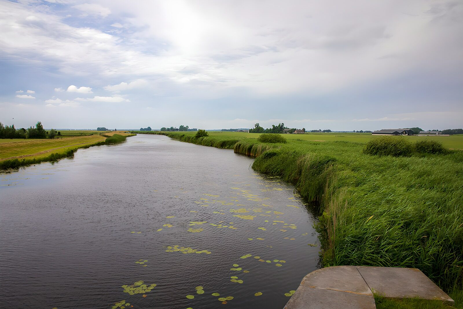 OCUK85808: Serene Riverbend in a Rural Landscape