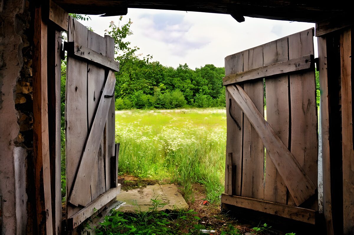 OCUK46707: Open Doors to a Lush Meadow