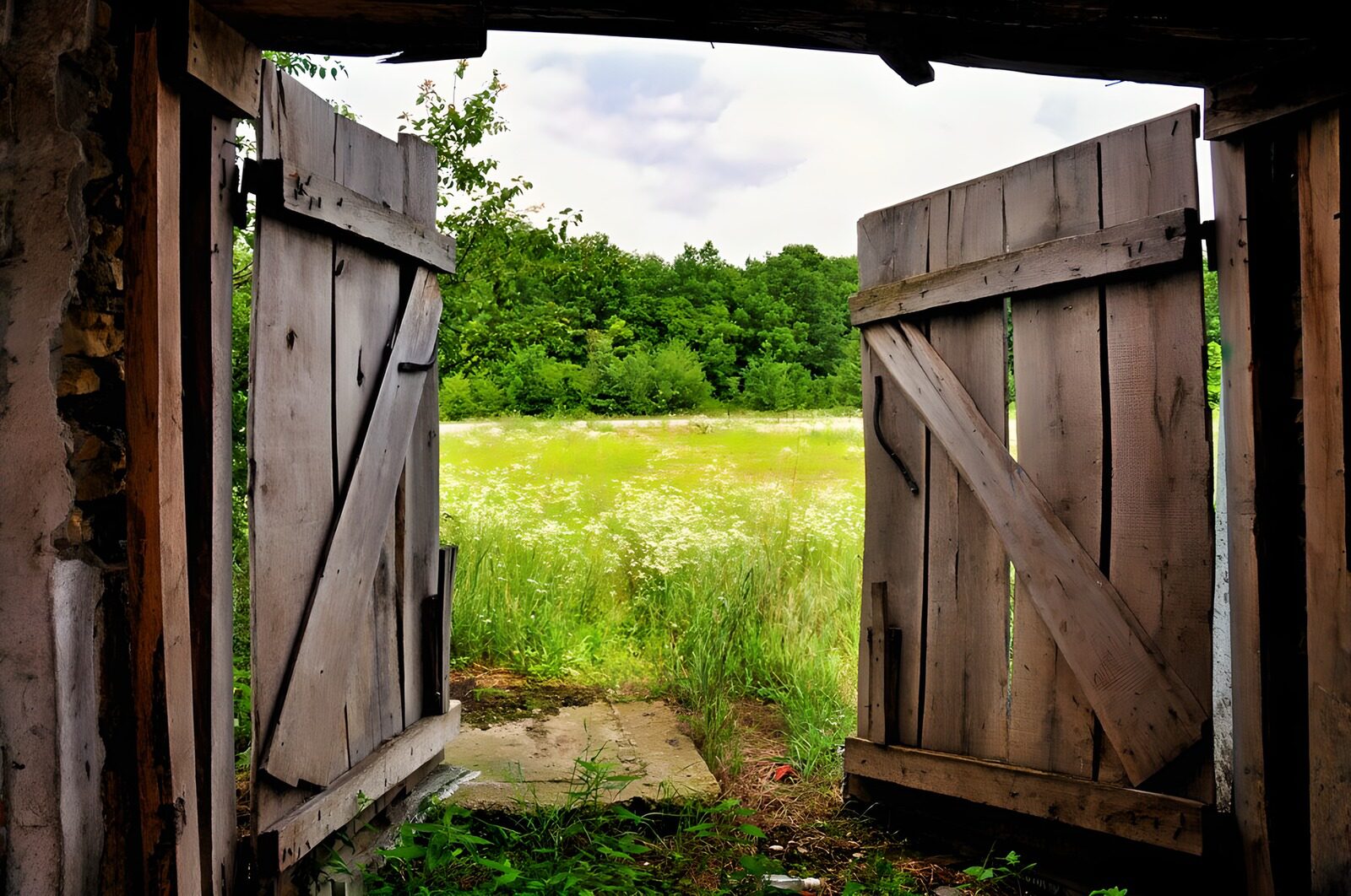 OCUK46707: Open Doors to a Lush Meadow