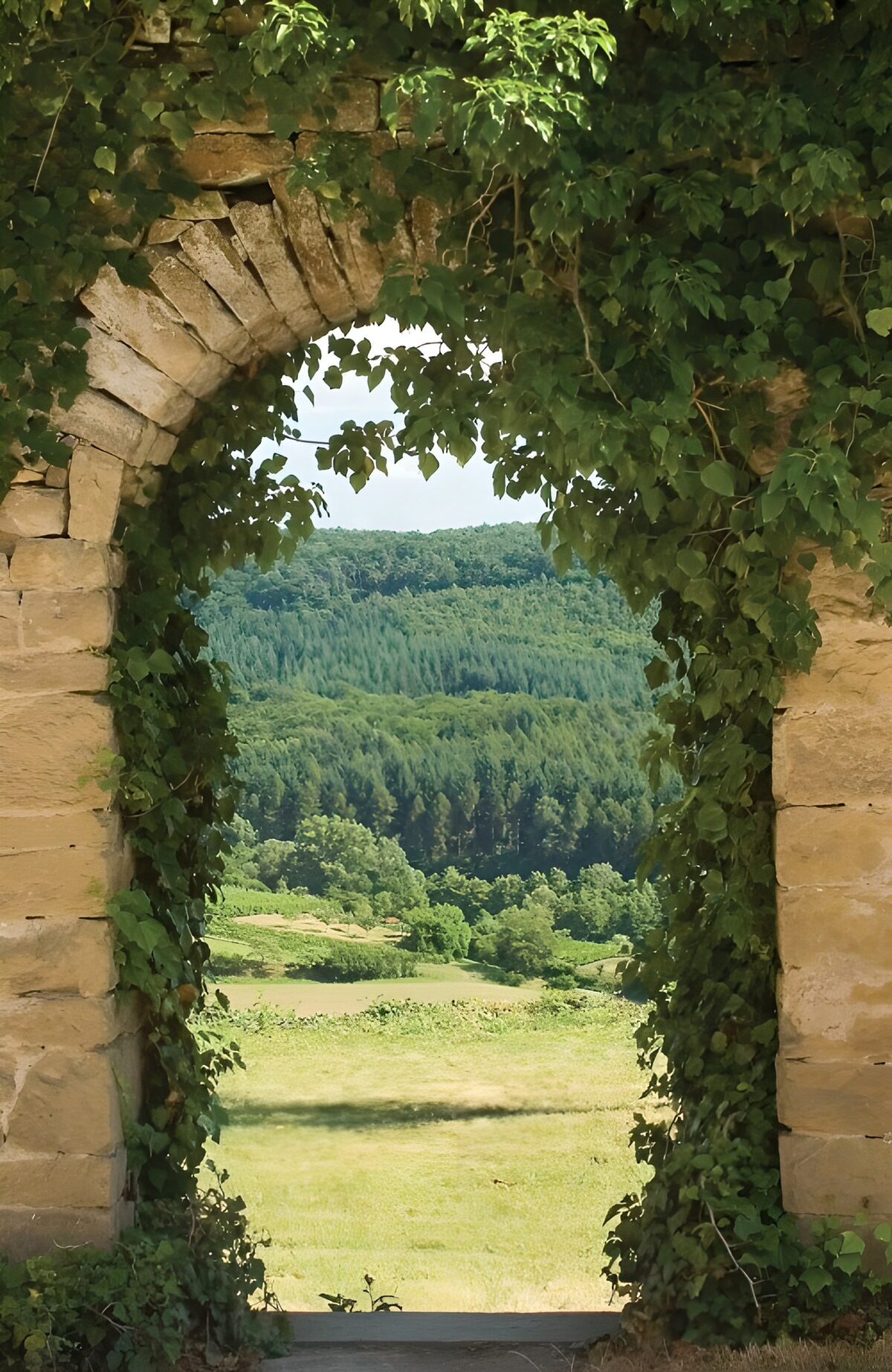 OCUK89147: Enchanted Gateway to Nature