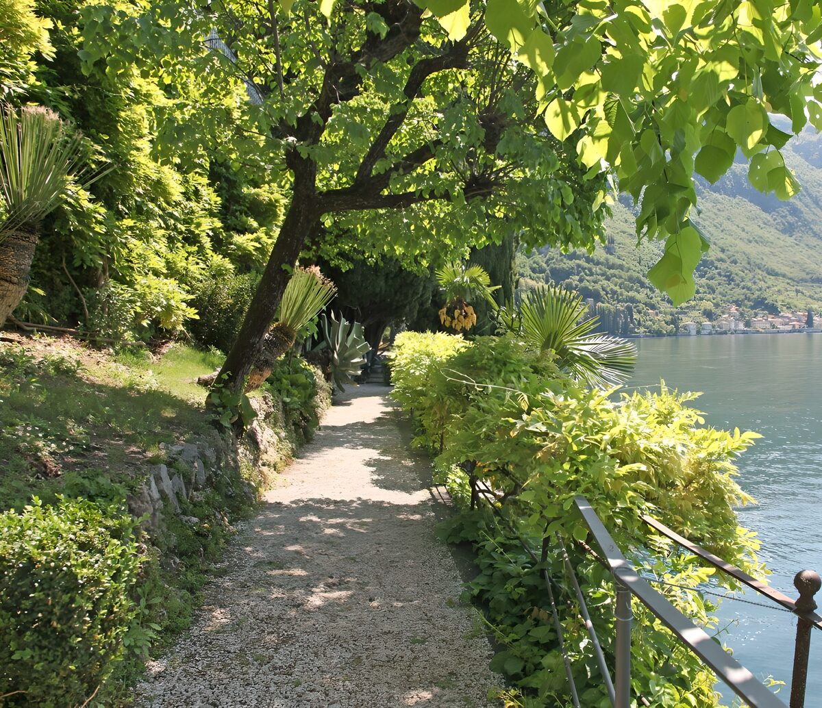 OCUK15424: Serene Waterside Pathway