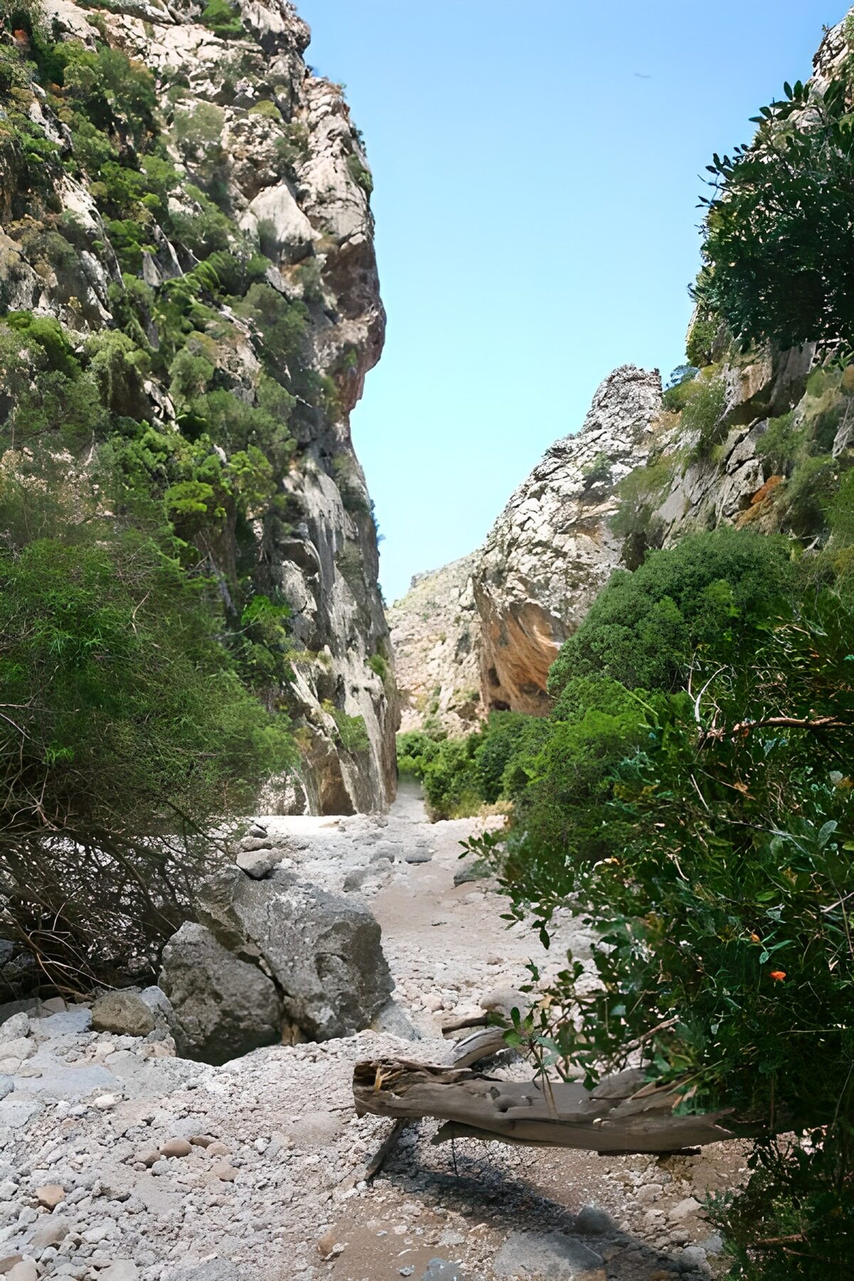 OCUK95152: Path through the rocks