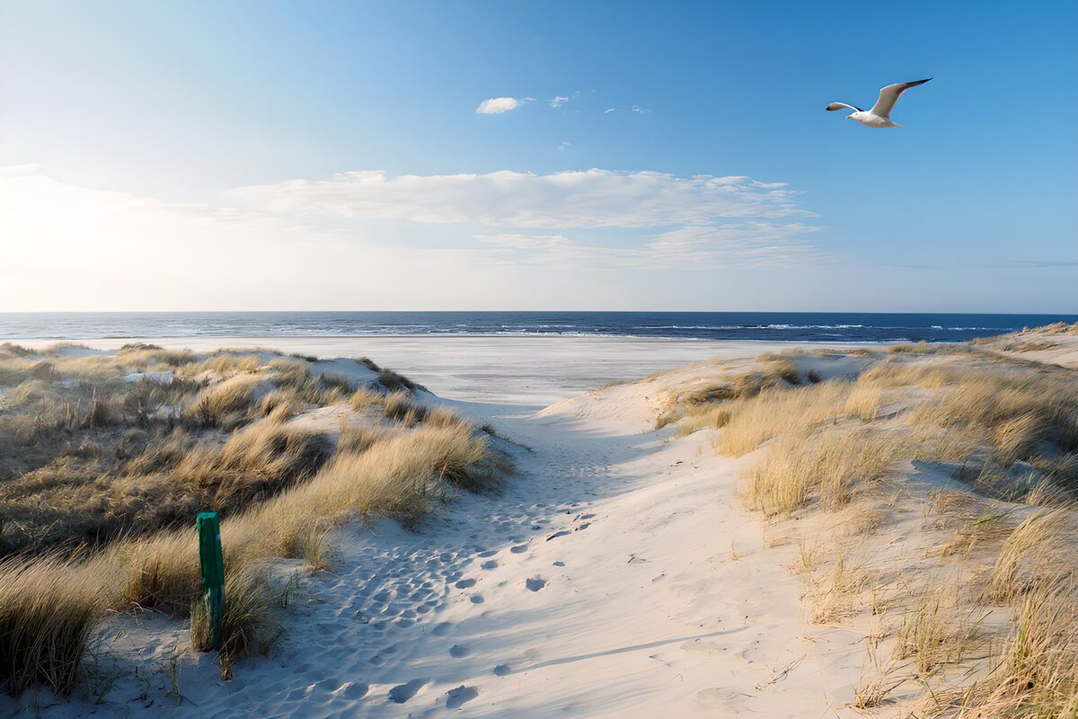 OCUK90209: Serene Coastal Dunes and Sky