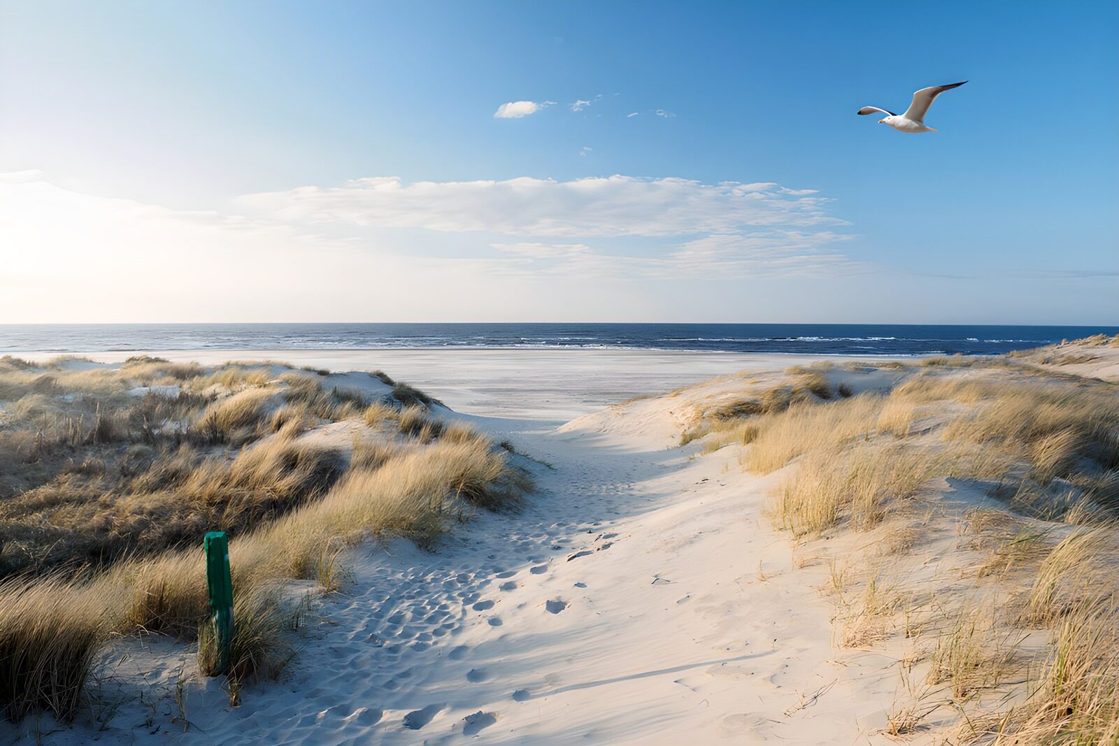 OCUK90209: Serene Coastal Dunes and Sky