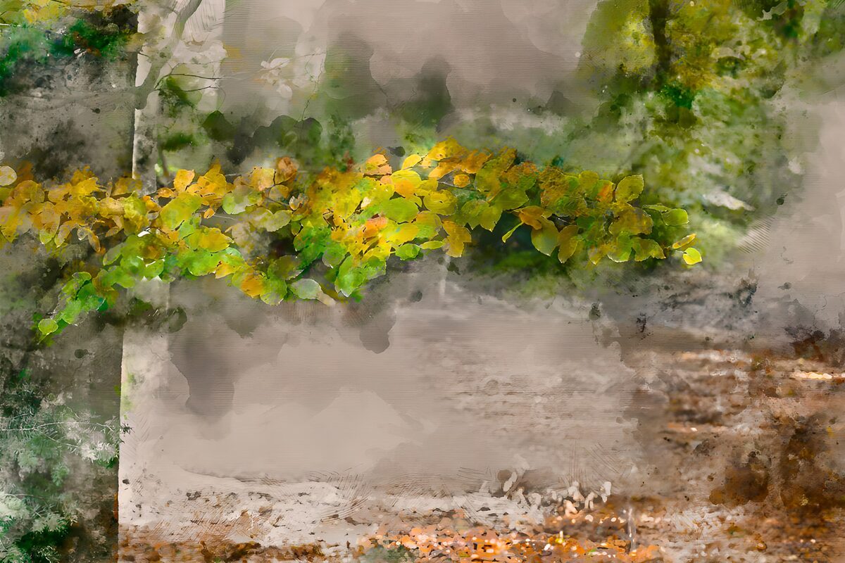 Autumn Hues in Nature's Canvas