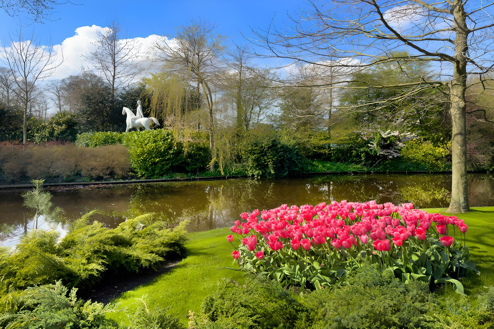 OCUK55904: Serene Garden with Sculpture and Tulips