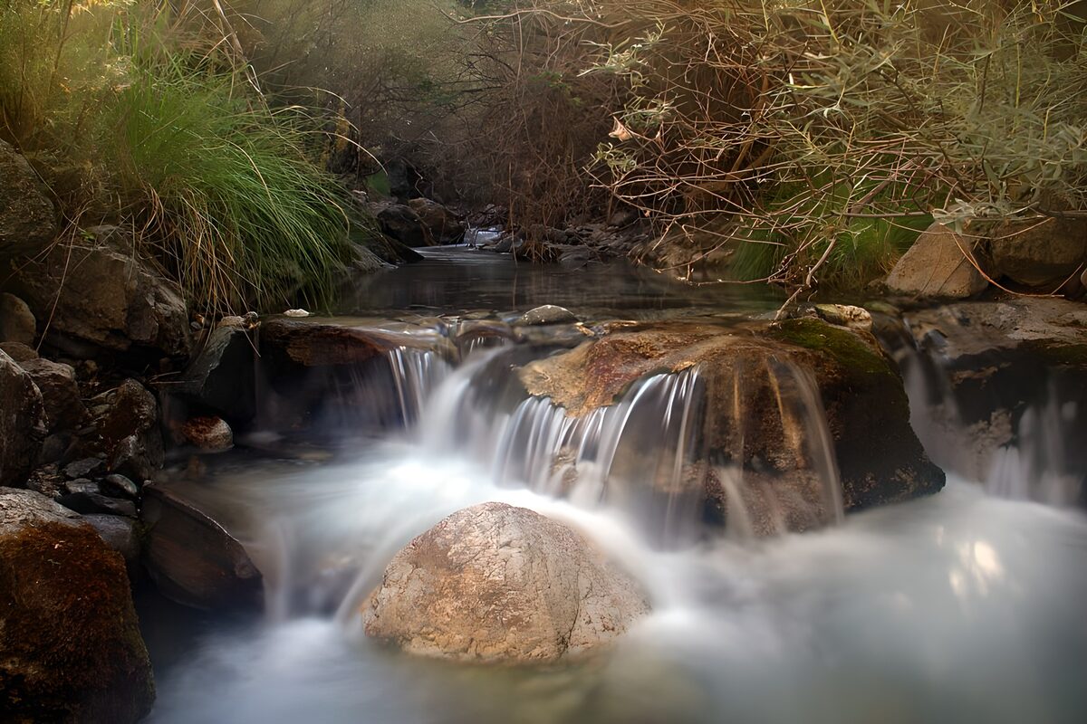 OCUK91063: Tranquil Stream in Nature's Embrace