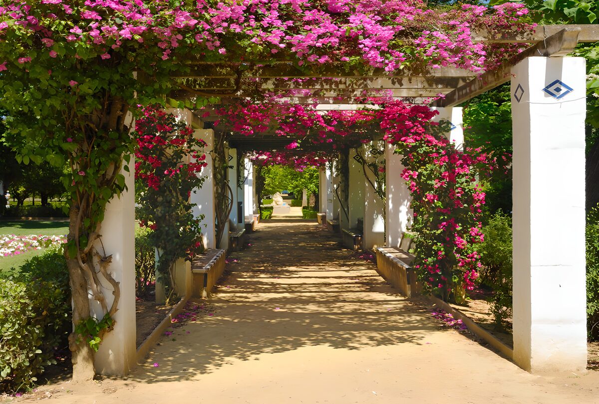 OCUK64971: Blooming Pathway in a Garden