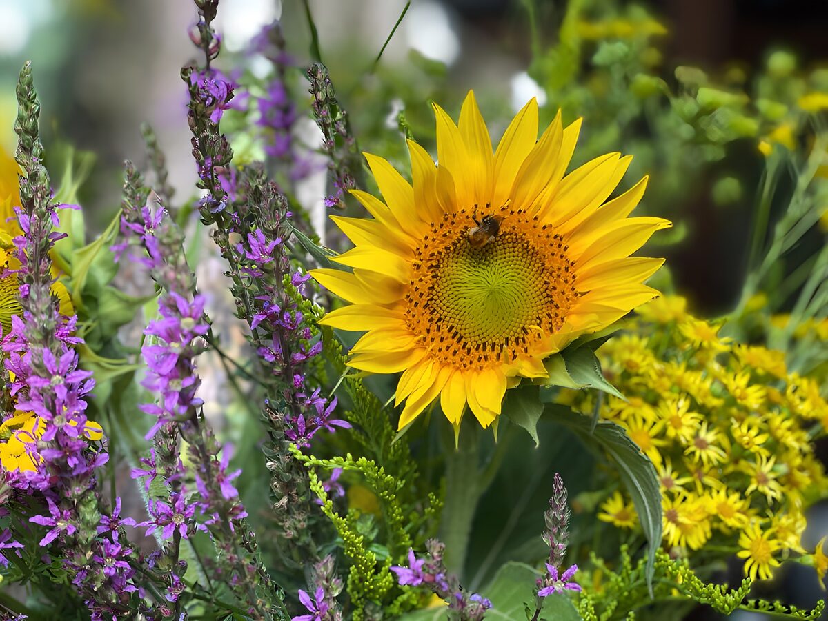 Sunflower with Bee in Wildflower Bouquet